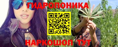 Альфа ПВП Можайск