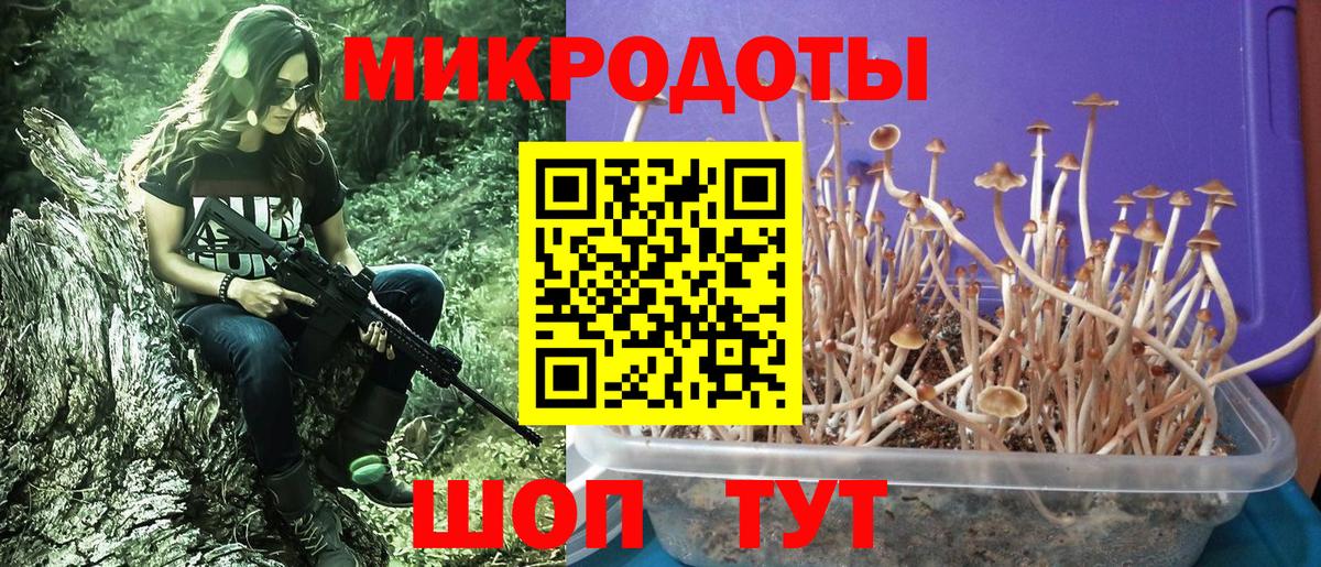 Сызрань  Галлюциногенные грибы Cubensis  Вход с VPN 